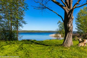 Fotografie 12 neubrandenburg see