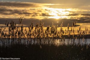 Fotografie 13 neubrandenburg see2