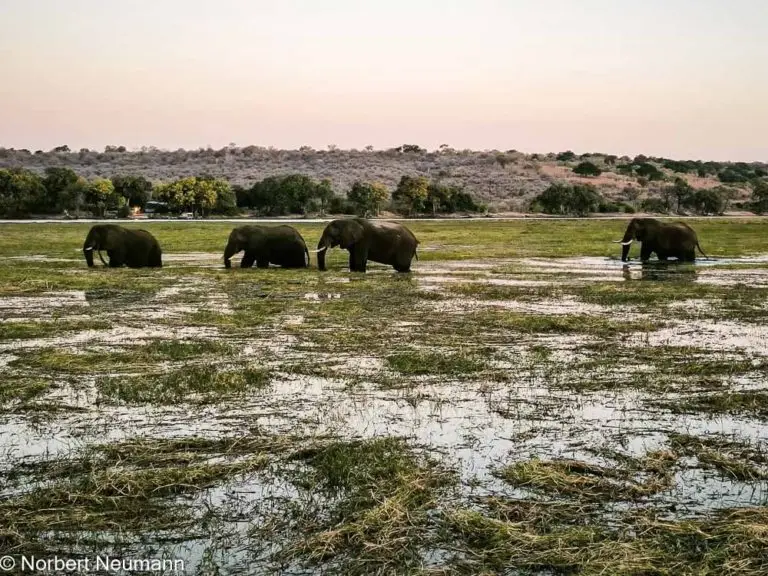 Botswana, Chobe-Nationalpark