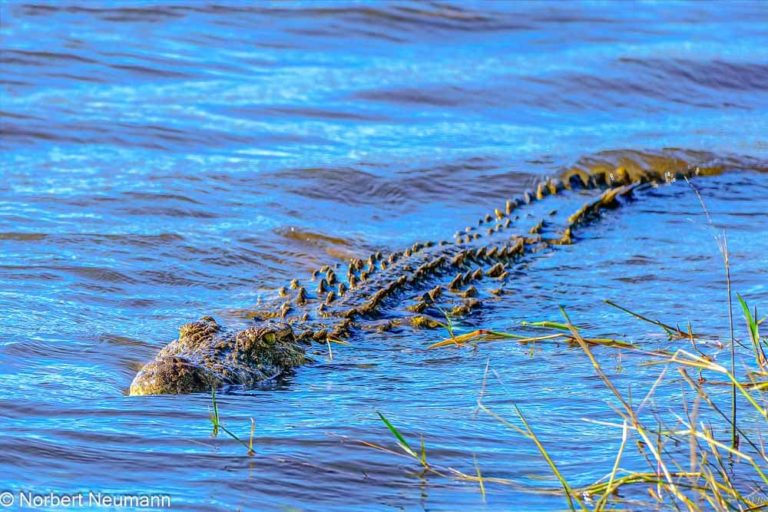 Botswana, Chobe-Nationalpark