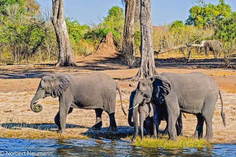 Botswana, Chobe-Nationalpark