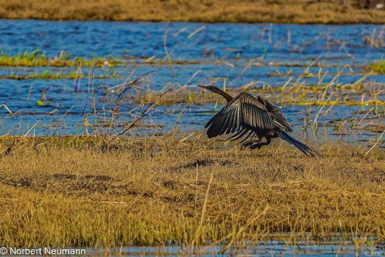 Botswana, Chobe-Nationalpark