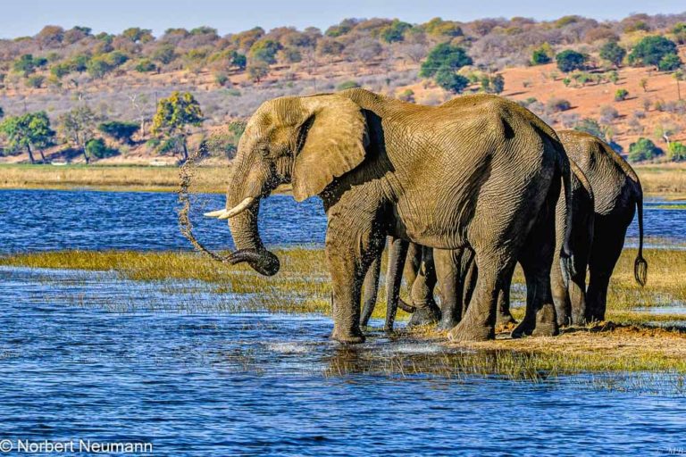 Botswana, Chobe-Nationalpark