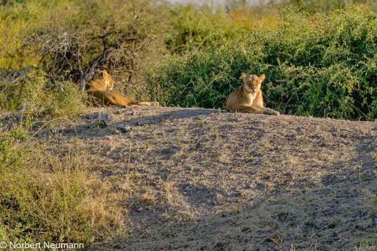 Botswana, Chobe-Nationalpark