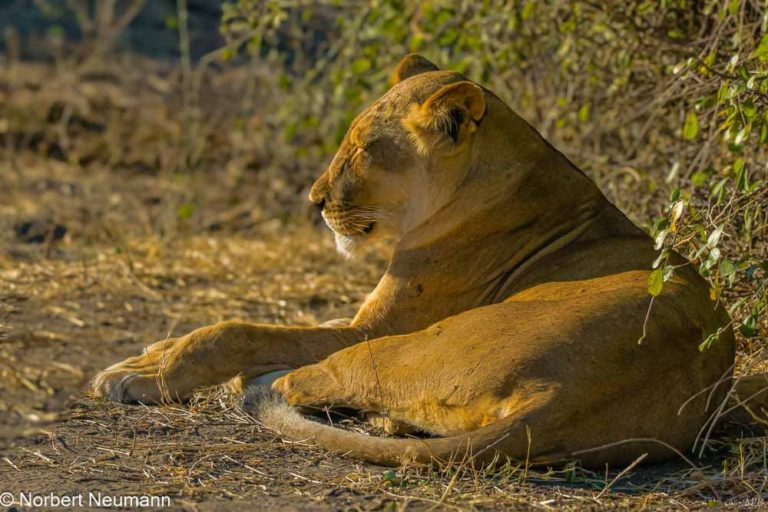Botswana, Chobe-Nationalpark