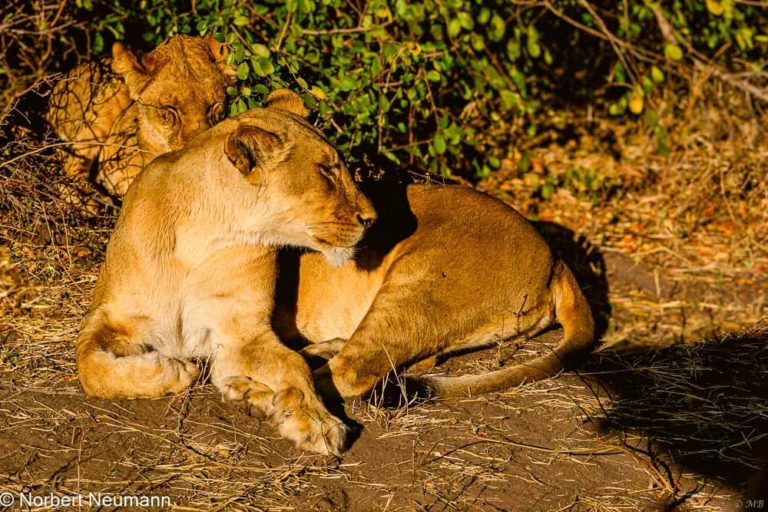 Botswana, Chobe-Nationalpark