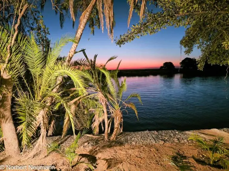 Botswana, Chobe Safari Lodge