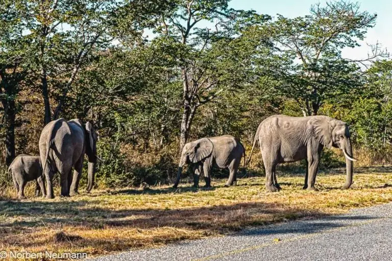 Namibia, Caprivi-Zipfel