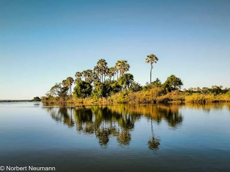 Simbabwe, Bootsfahrt mit Ra-Ikane auf dem Sambesi