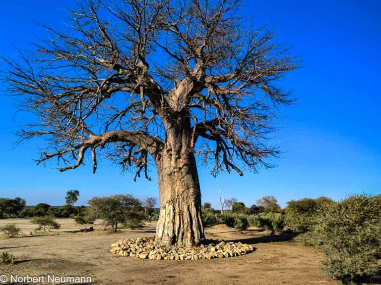 Namibia, Bwata-Nationalpark