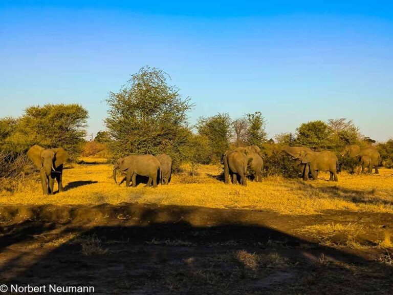 Namibia, Bwata-Nationalpark