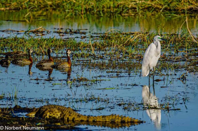 Namibia, Bwata-Nationalpark