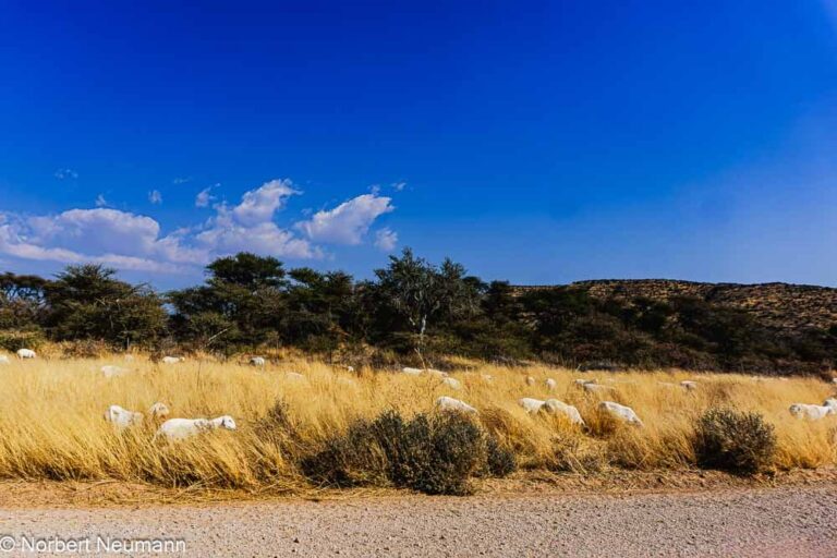 Namibia, auf dem Weg ins Erongo Gebirge
