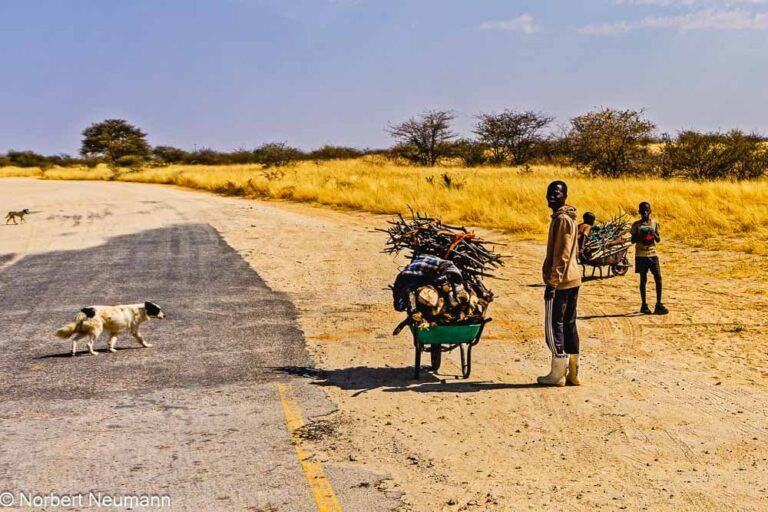 Namibia, Feuerholz