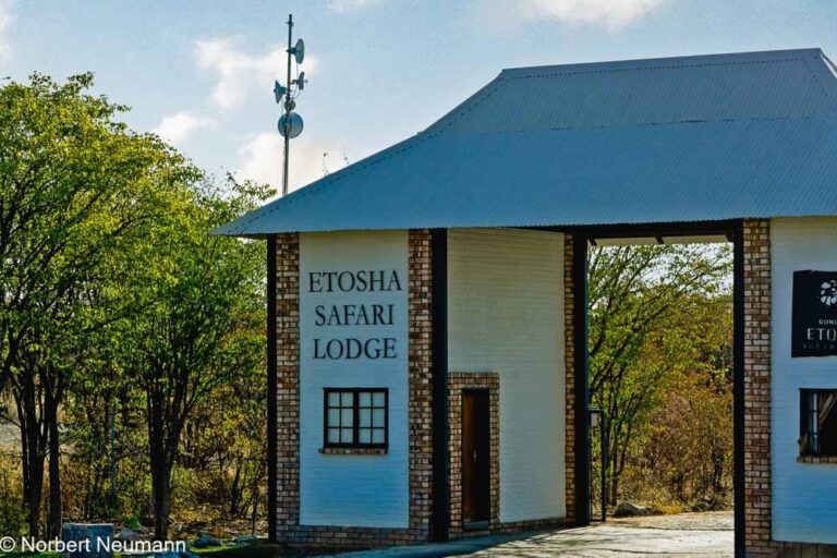 Namibia, Etosha Safari Lodge