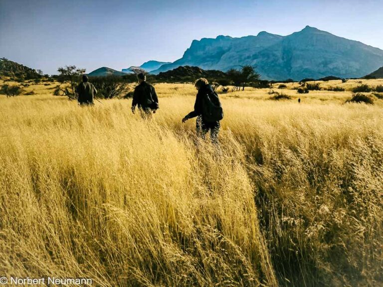 Namibia, Hohenstein Lodge