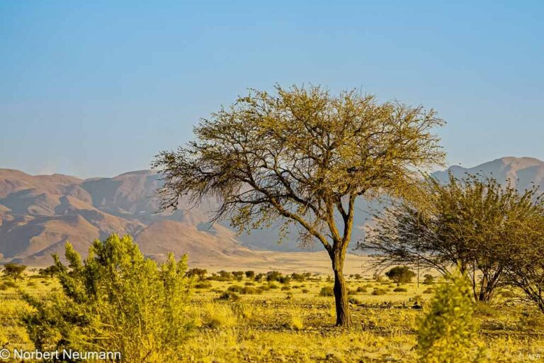 Namibia, Little Sossus Lodge