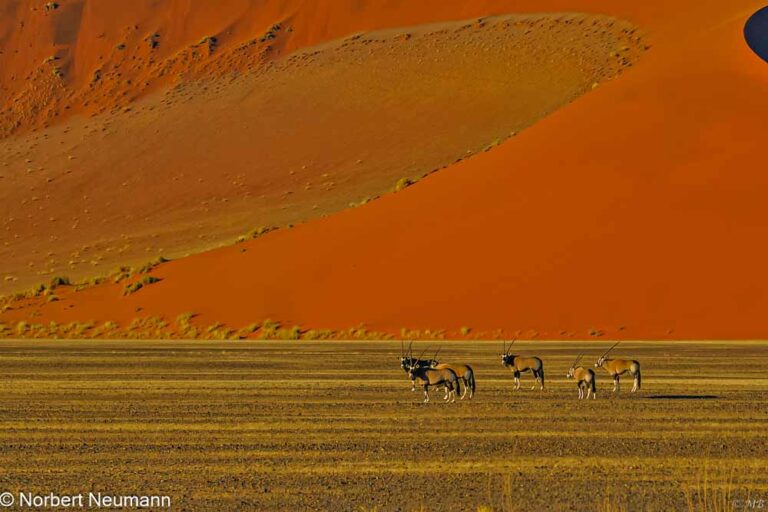 Namibia, Sossusvlei