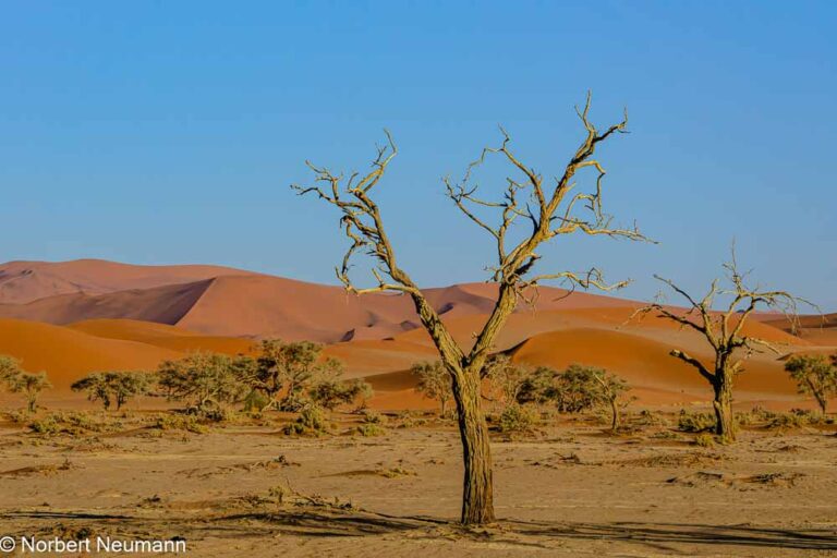 Namibia, Sossusvlei