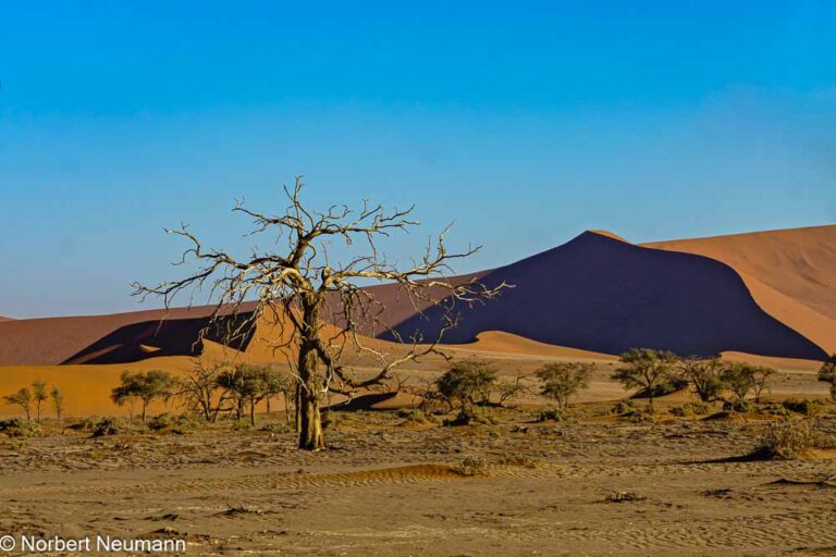 Namibia, Sossusvlei