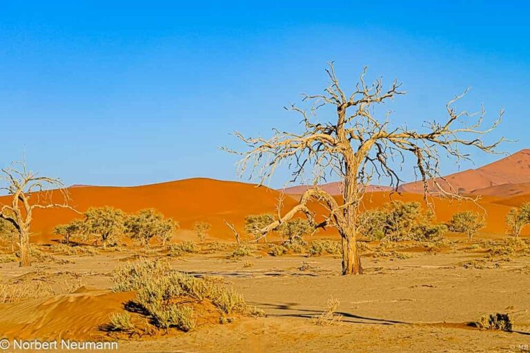 Namibia, Sossusvlei