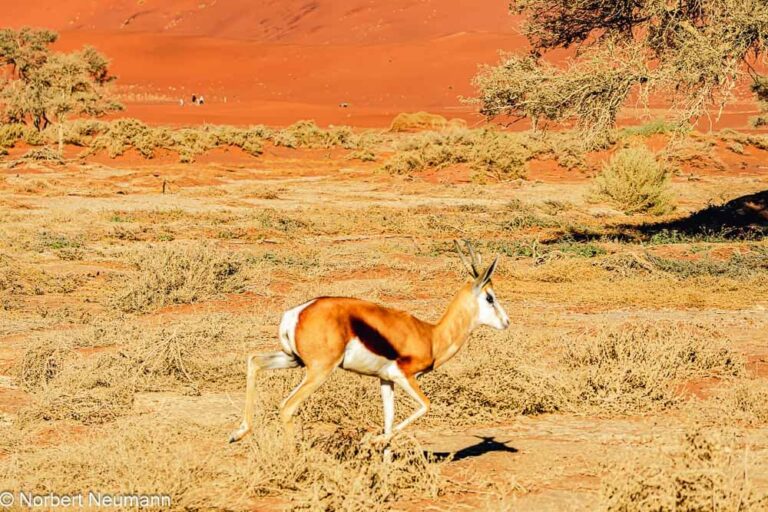 Namibia, Sossusvlei