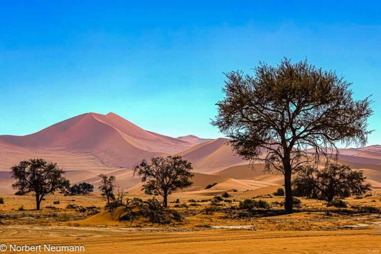 Namibia, Sossusvlei