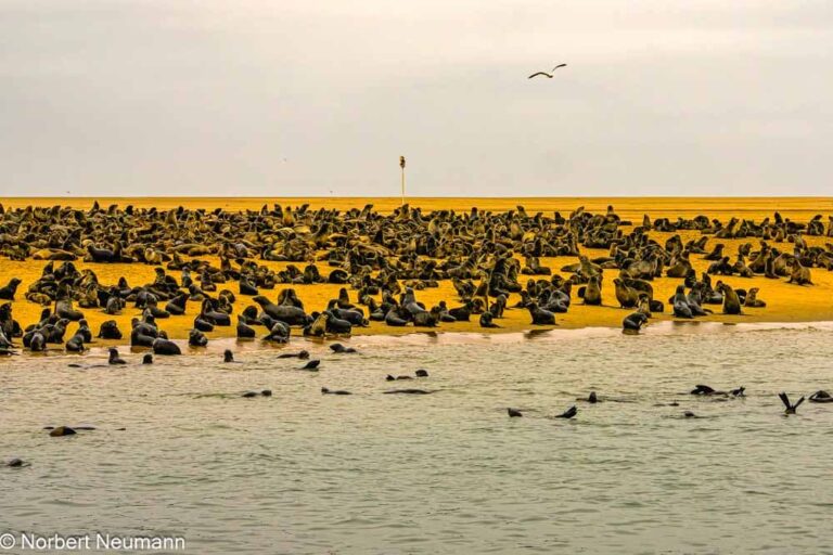 Namibia, Walvis Bay