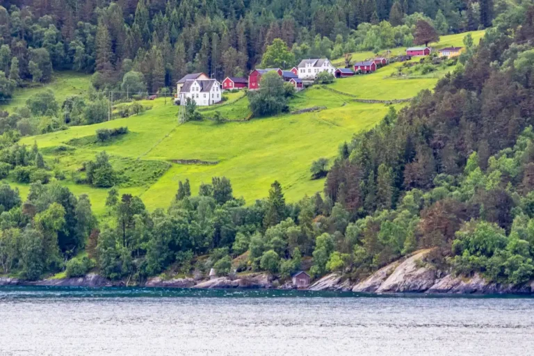 Norwegen, Vik