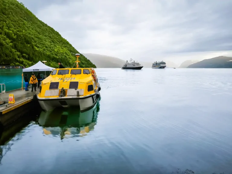 Norwegen, Vik